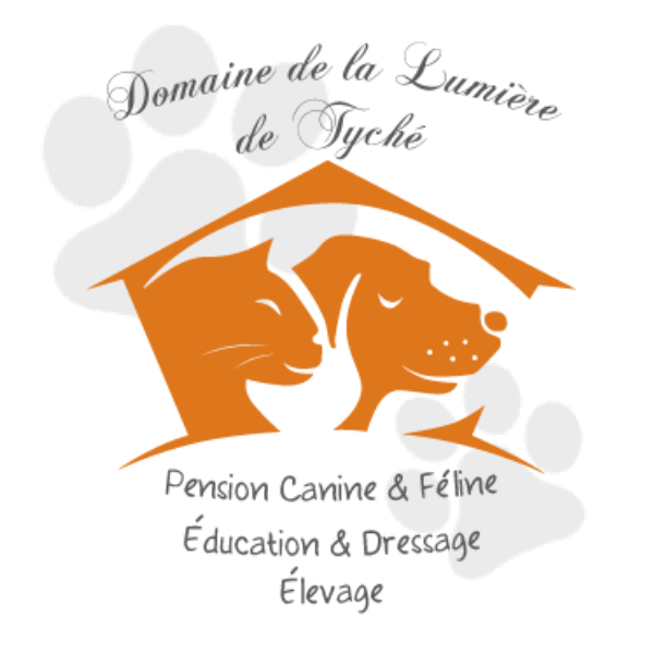 Domaine de la lumière de Tychée - Site dynamique avec base de données